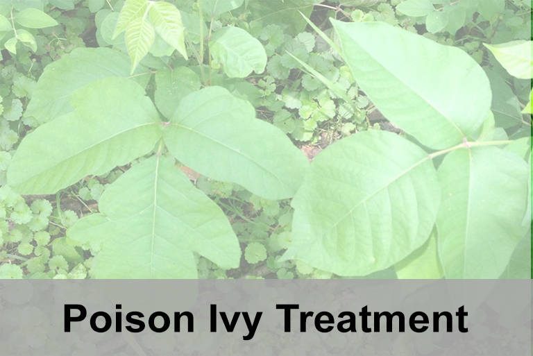 poison-ivy-icon-hover
